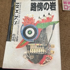 ロックインタビュー、評論集