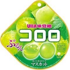 コロロ　マスカット６袋×２箱
