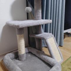 キャットタワー（小型）交渉中の画像