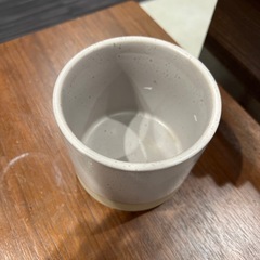 観葉植物ポット　10cmの画像