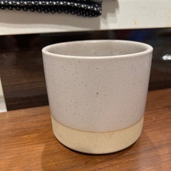観葉植物ポット　10cm