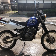   ジェベル250XC(停止中)
の画像