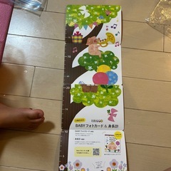 baby フォトカード&身長計の画像