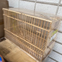鳥かごの画像