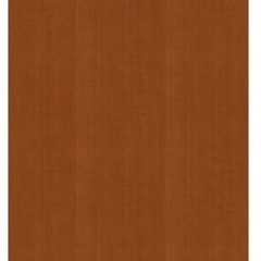 【未使用品】ダイノック WG879（木目）2.1m 安くお譲りしますの画像