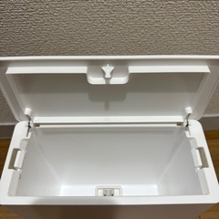 【短期使用】【ニトリ】抗菌消臭　ダストボックスの画像