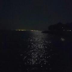 気楽なユルい深夜友達♪