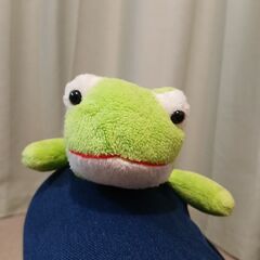 カエルの筆箱or小物入れ