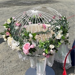 レース鳩、鳩レース、ケージ？