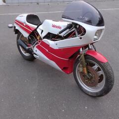 激レアbimota　KB2LASER TT