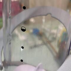 ゼブロ　ドライフードディスペンサー シングル シルバーの画像