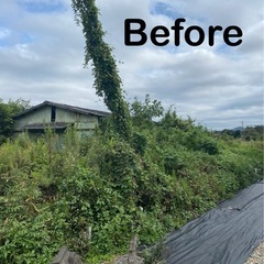 格安で草刈り致します^ - ^