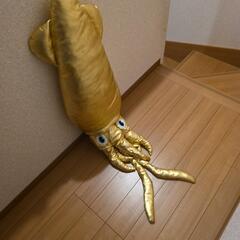 黄金ダイオイカの画像
