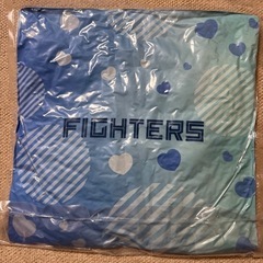 【新品未開封】日本ハムファイターズ　田宮裕涼　x 田中正義　ペアクッションの画像