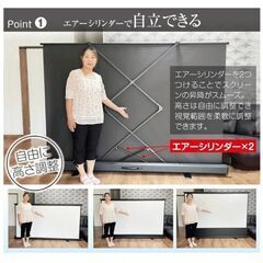 100インチ スクリーンの画像