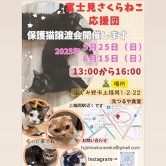 譲渡会に参加します！