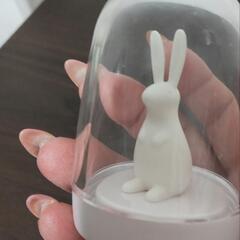 【未使用】QUALY 調味料入れ アニマルパレードの画像