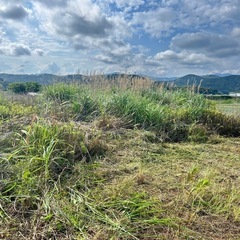草刈りします。