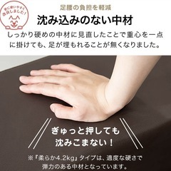 犬 階段 ステップ 2段  ドッグステップ   硬め の画像