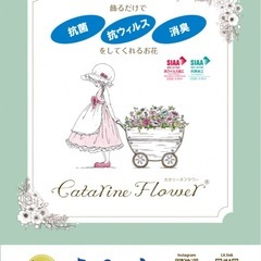 6月お教室・出店スケジュール🗓️の画像
