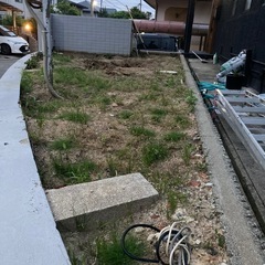 庭の土のでこぼこを直すの手伝って