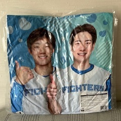 交換希望！日ハム ファイターズ 推しペアオリジナルクッション 