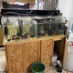 1,400アクリル水槽と上部フィルター
