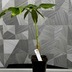 ランキングキーワードに紐づく投稿画像-観葉植物