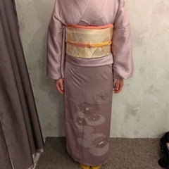 14　訪問着 フルセット 着物•帯•帯揚げ•帯締め•伊達襟(重ね...