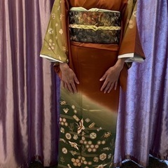 15　訪問着 フルセット 着物•帯•帯揚げ•帯締め•伊達襟(重ね...