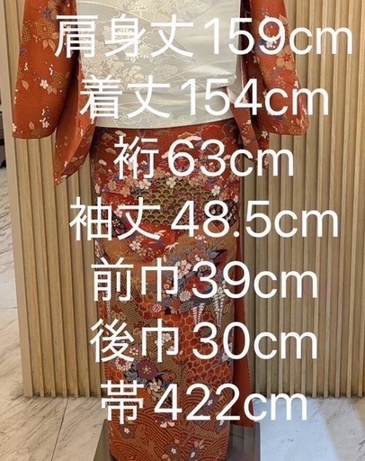 18　訪問着 フルセット 着物•帯•帯揚げ•帯締め•伊達襟(重ね襟)の5点セット