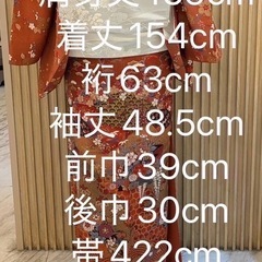 18　訪問着 フルセット 着物•帯•帯揚げ•帯締め•伊達襟(重ね襟)の5点セットの画像