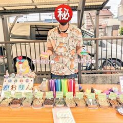 【ごみ拾い】ついでに【解説付き】自然観察しませんか❓