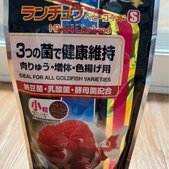 キョーリン　らんちゅうベビーゴールドS