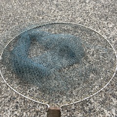たも網　玉網　釣具の画像