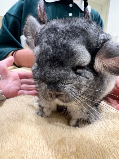 エアコン取り付け