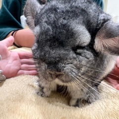 エアコン取り付け