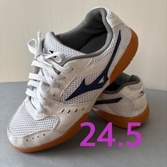 ミズノ　体育館シューズ　24.5