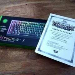 BlackWidow V4Xの画像