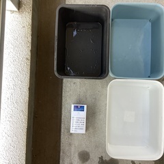 驚安❗️ ダイソー、セリアのプラbox  メダカの卵、針子を入れ...