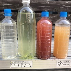【nego_mdk】メダカ飼育の味方‼️