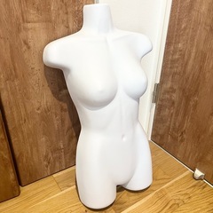 プラスチックトルソー ②
