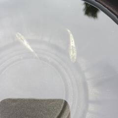 6/1(日)めだか販売。の画像