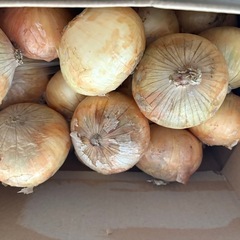 ②【無料】玉ねぎあげます