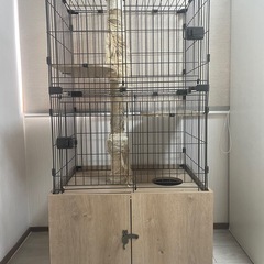 猫ゲージ