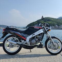 ヤマハ tzr125