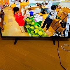 PanasonicTH-43FX600