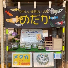 メダカ無人販売