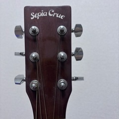 Sepia Crue FG-1N アコースティックギターの画像