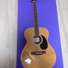 Sepia Crue FG-1N アコースティックギターの画像